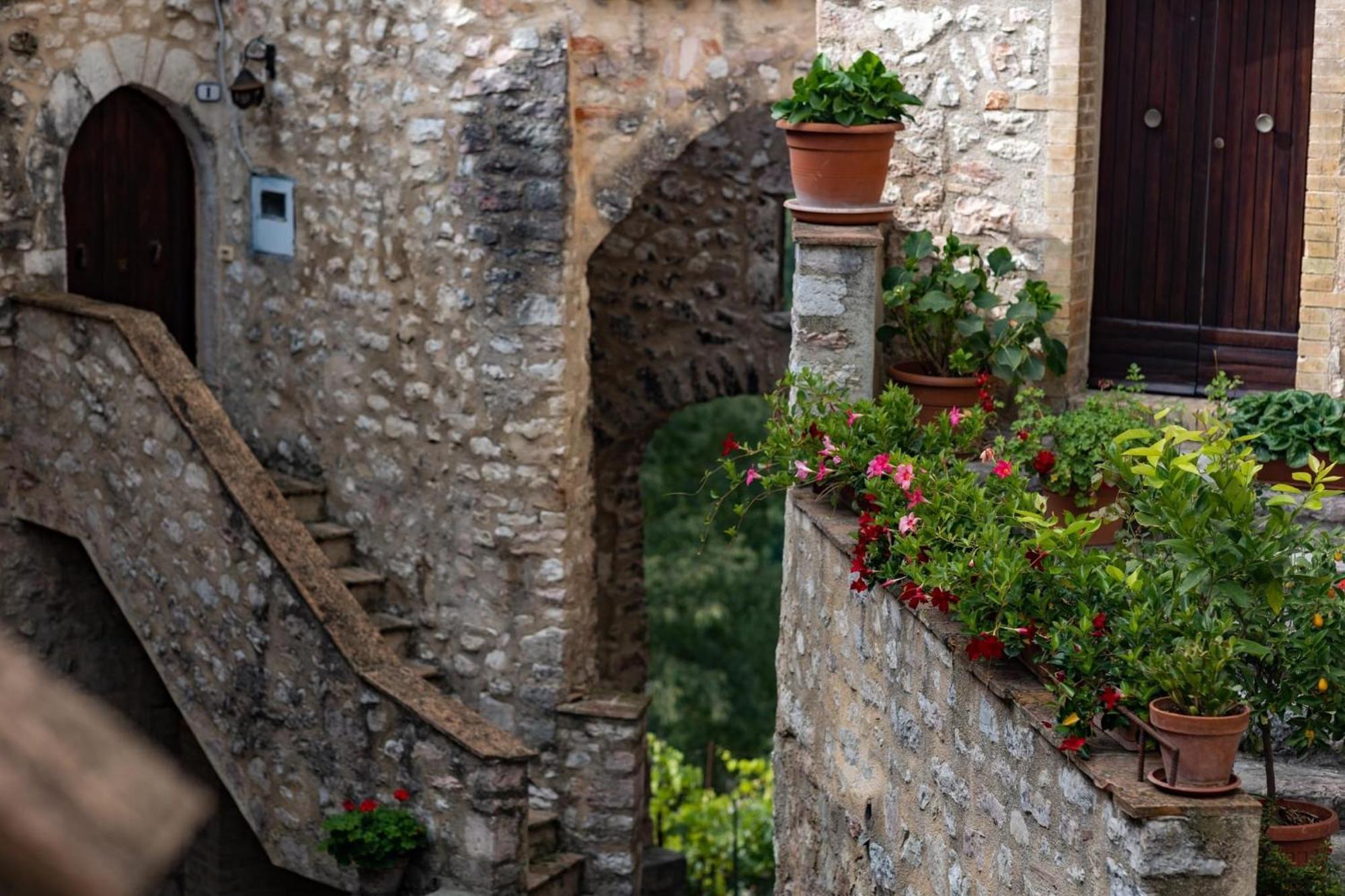 Il Tripode - Le Dimore Del Bordone Vallo di Nera Buitenkant foto